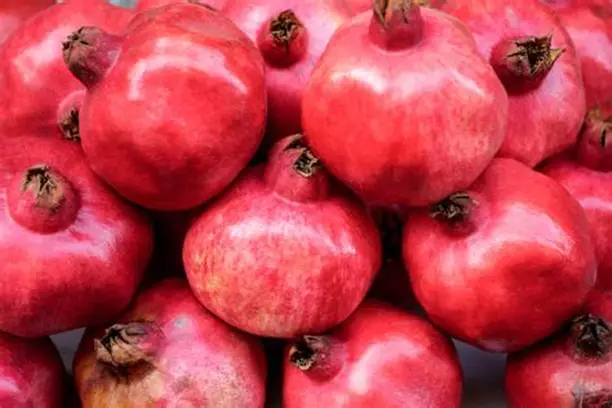 تصویر 5 از فروش انار رباب صادراتی + قیمت خرید به صرفه